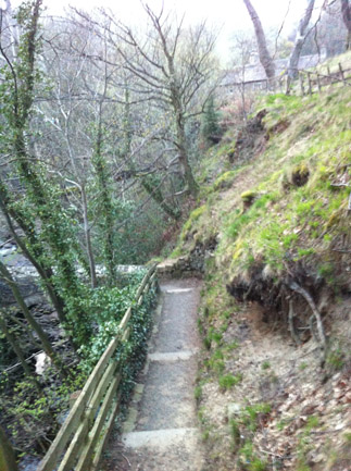 Fairy Scenery 2