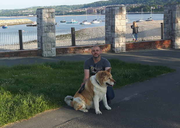 Toffee the Akita in Colwyn Bay 2